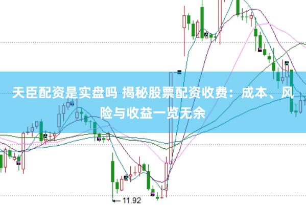 天臣配资是实盘吗 揭秘股票配资收费：成本、风险与收益一览无余
