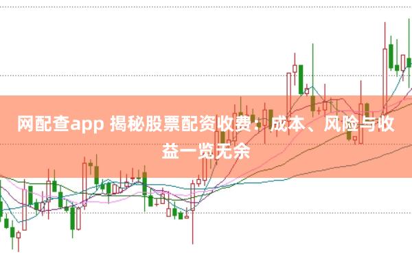 网配查app 揭秘股票配资收费：成本、风险与收益一览无余