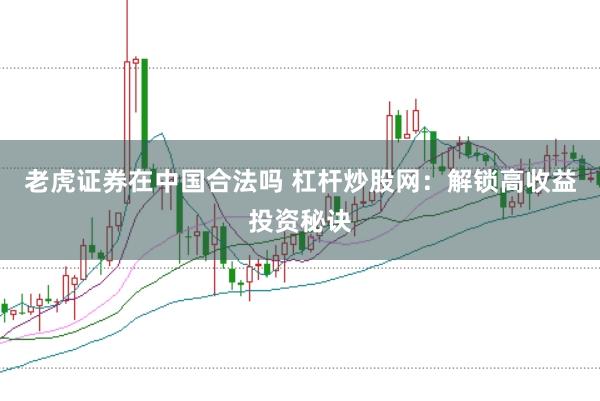 老虎证券在中国合法吗 杠杆炒股网：解锁高收益投资秘诀