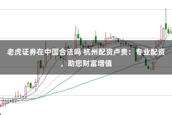 老虎证券在中国合法吗 杭州配资卢贵：专业配资，助您财富增值