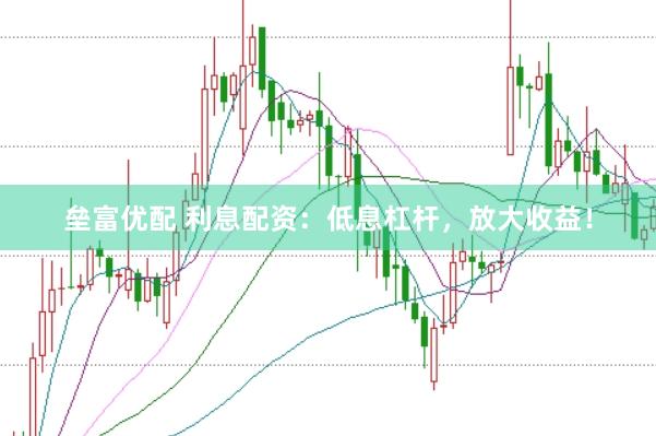 垒富优配 利息配资：低息杠杆，放大收益！