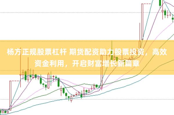 杨方正规股票杠杆 期货配资助力股票投资，高效资金利用，开启财富增长新篇章