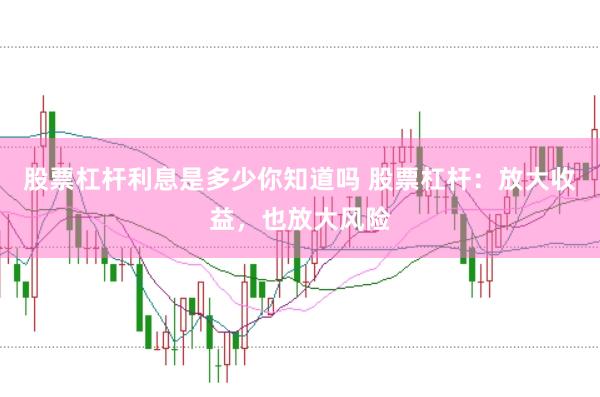 股票杠杆利息是多少你知道吗 股票杠杆：放大收益，也放大风险