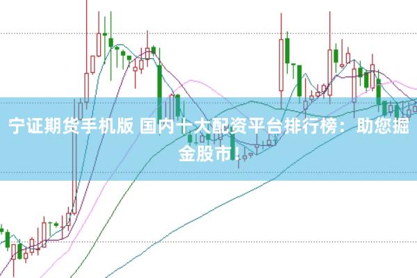 宁证期货手机版 国内十大配资平台排行榜：助您掘金股市！