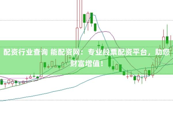 配资行业查询 能配资网：专业股票配资平台，助您财富增值！