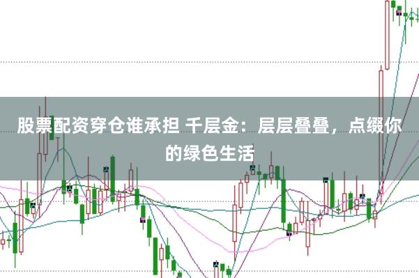 股票配资穿仓谁承担 千层金：层层叠叠，点缀你的绿色生活