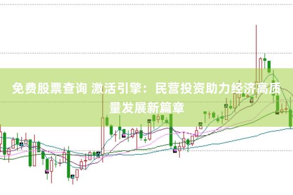 免费股票查询 激活引擎：民营投资助力经济高质量发展新篇章