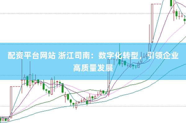 配资平台网站 浙江司南：数字化转型，引领企业高质量发展