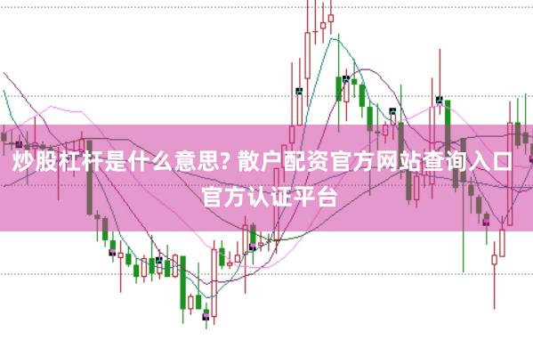 炒股杠杆是什么意思? 散户配资官方网站查询入口  官方认证平台