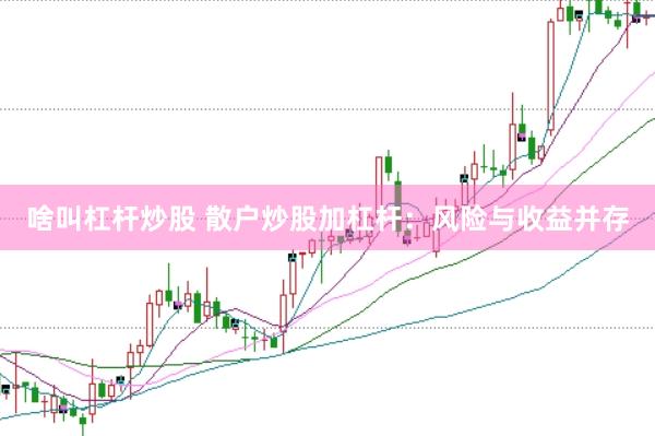 啥叫杠杆炒股 散户炒股加杠杆：风险与收益并存