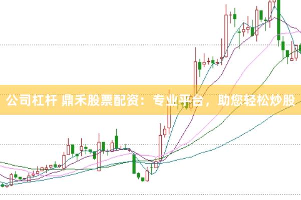 公司杠杆 鼎禾股票配资：专业平台，助您轻松炒股